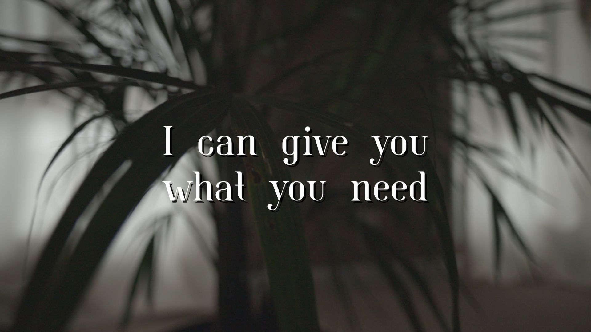 I can give you what you need